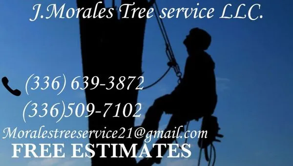 J Morales Tree Service Logo