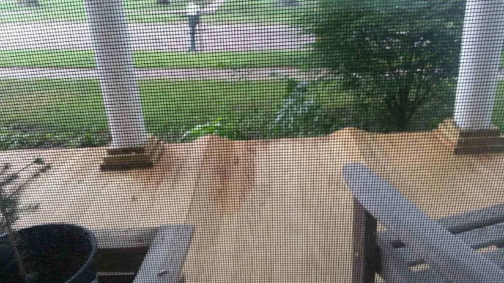 Slide of J Tech Construction