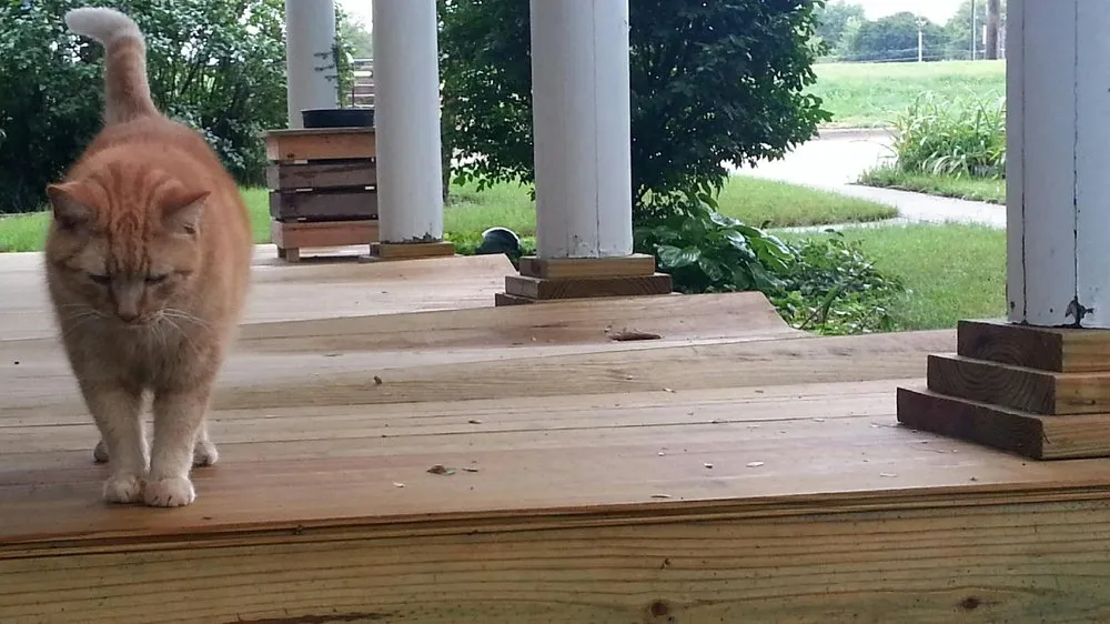 Slide of J Tech Construction