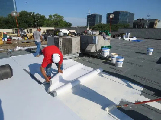 Jack Gray's Roof Observations