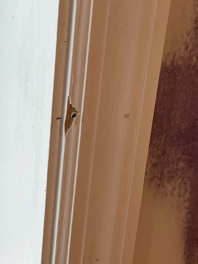 Slide of Jack Nicholson Contracting - ABC Painting