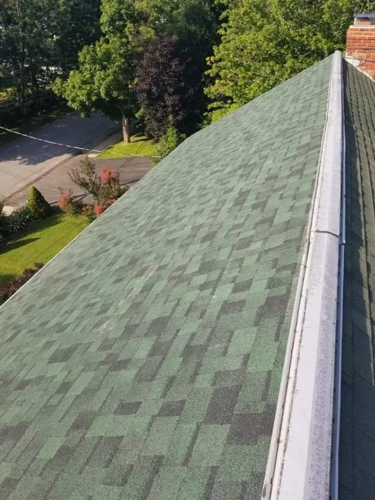 Slide of Jack of all Trades CNY