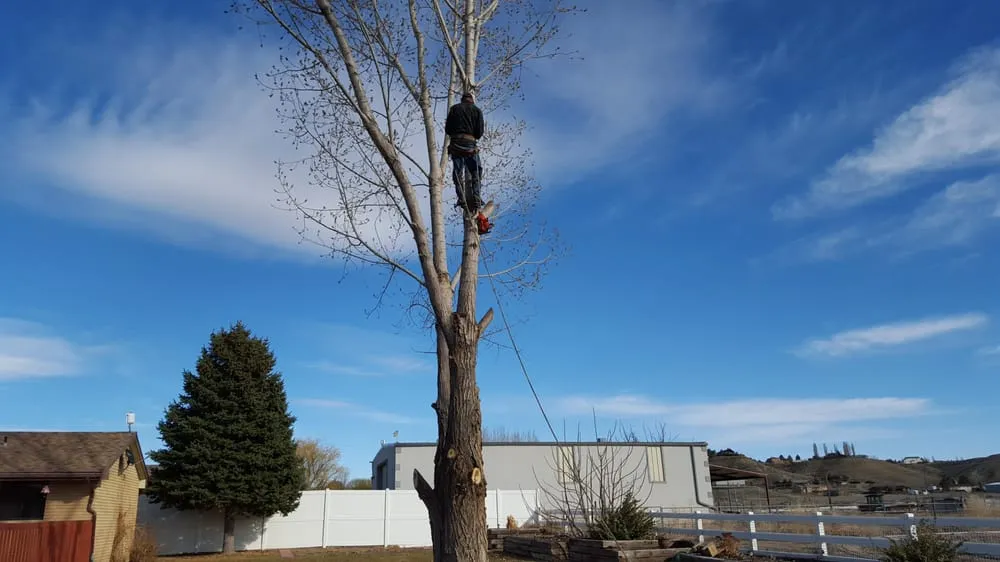 Slide of Jack Of All Traits