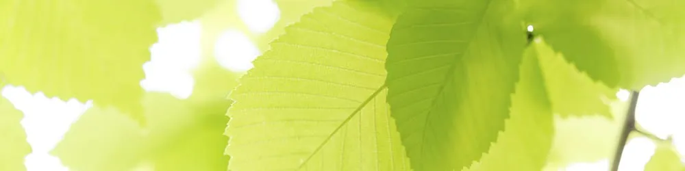 Slide of Jack's Roofing