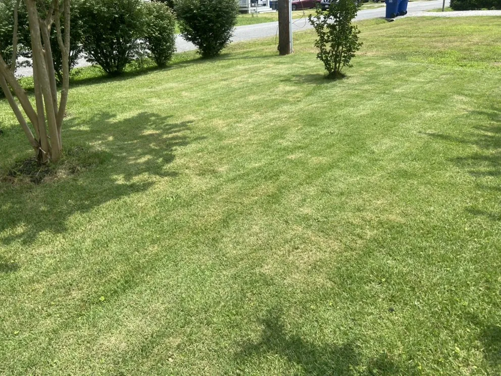 Slide of Jacks services