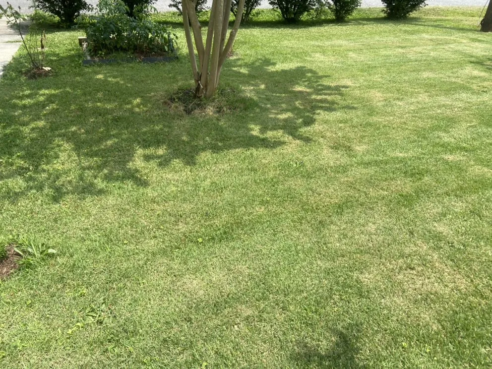 Slide of Jacks services