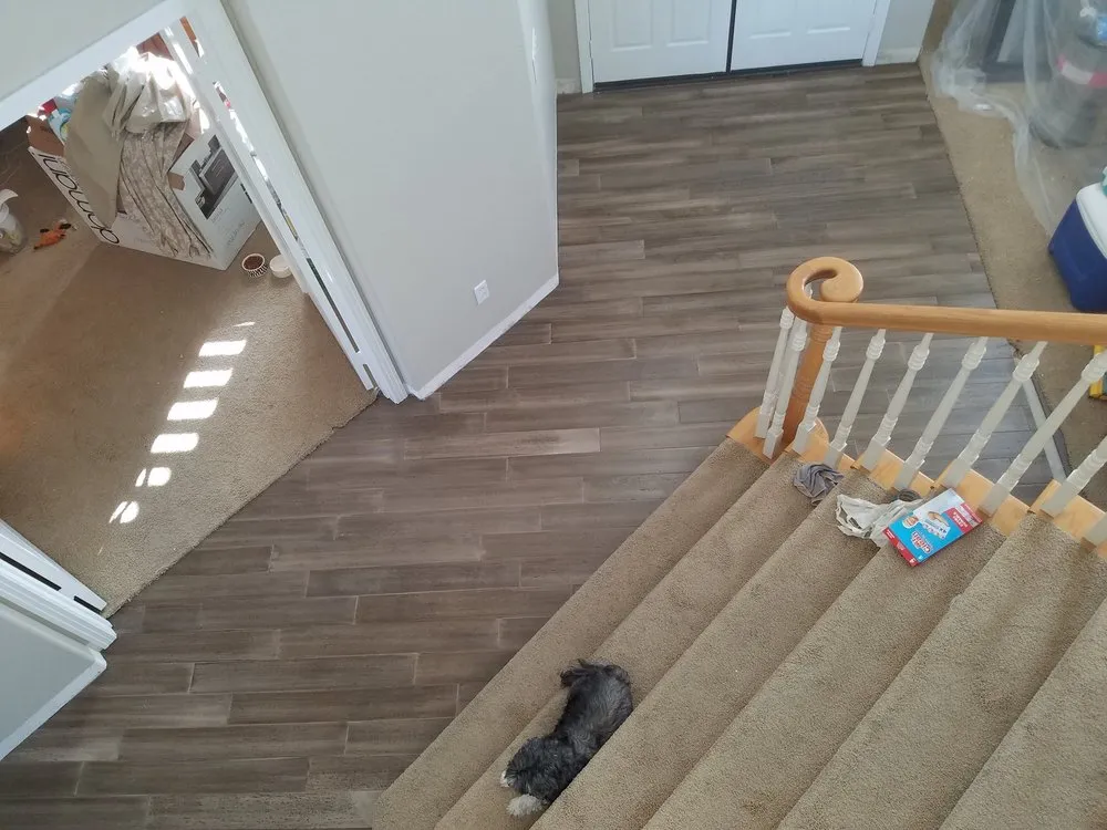 Slide of Jackson Installations