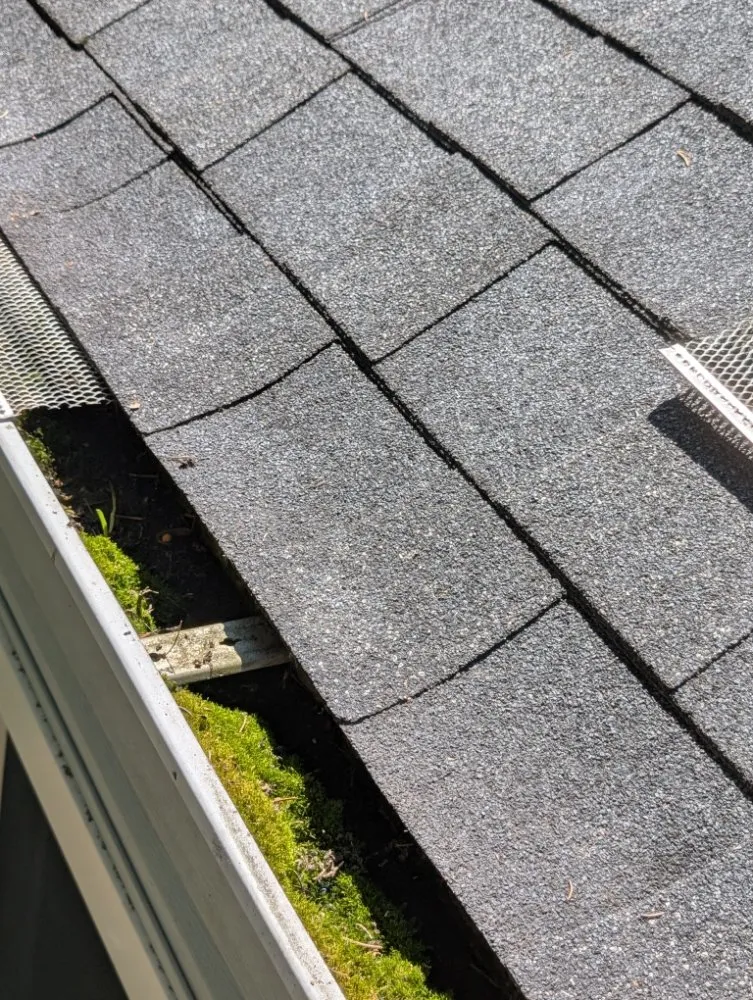 Slide of Jackson NanoShield