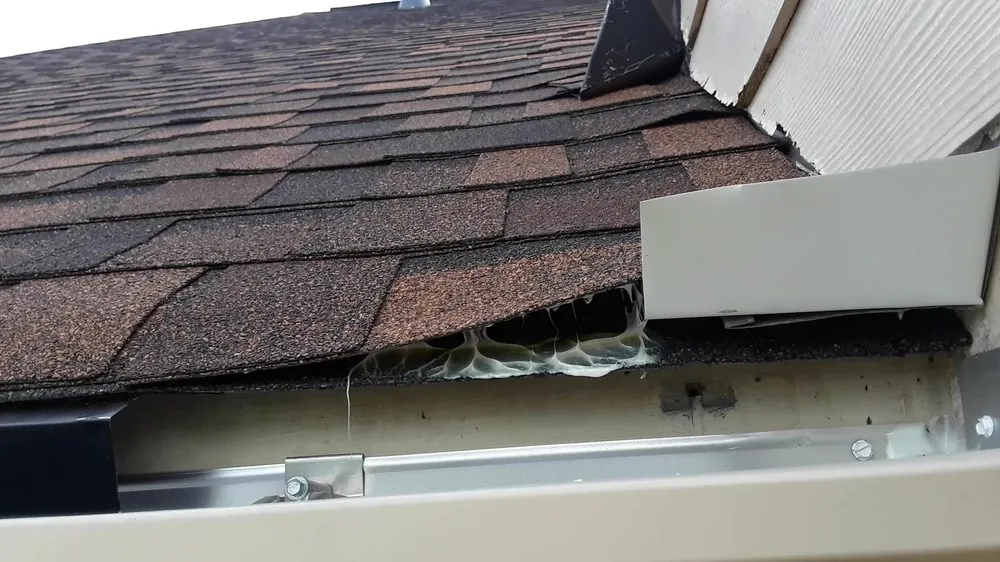 Slide of Jaco Contracting