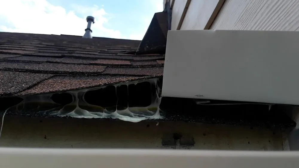 Slide of Jaco Contracting