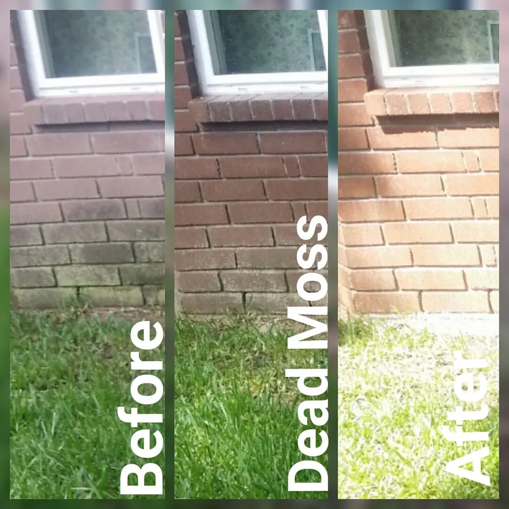 Slide of Jade Exterior Services