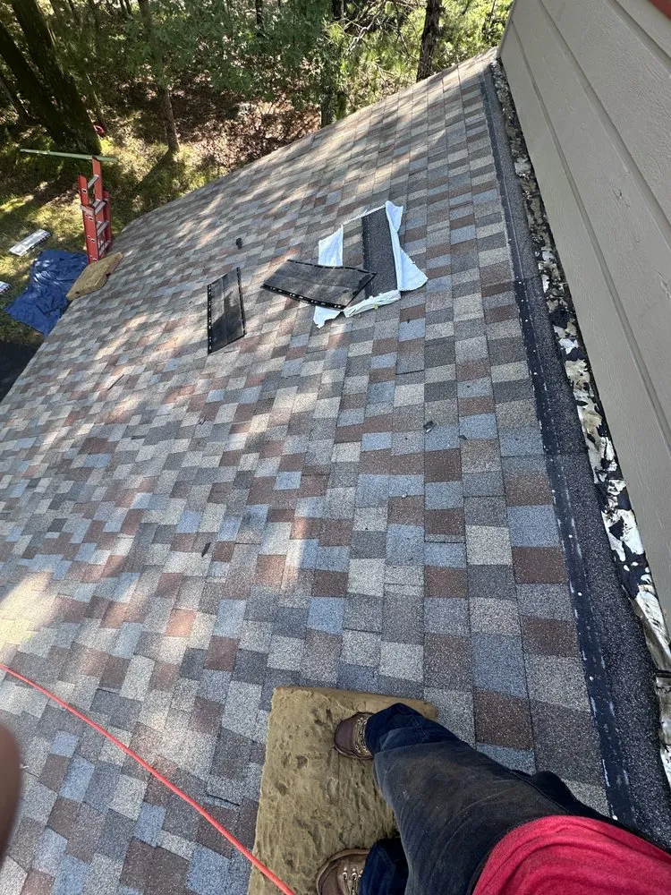 Slide of Jaguar Roof