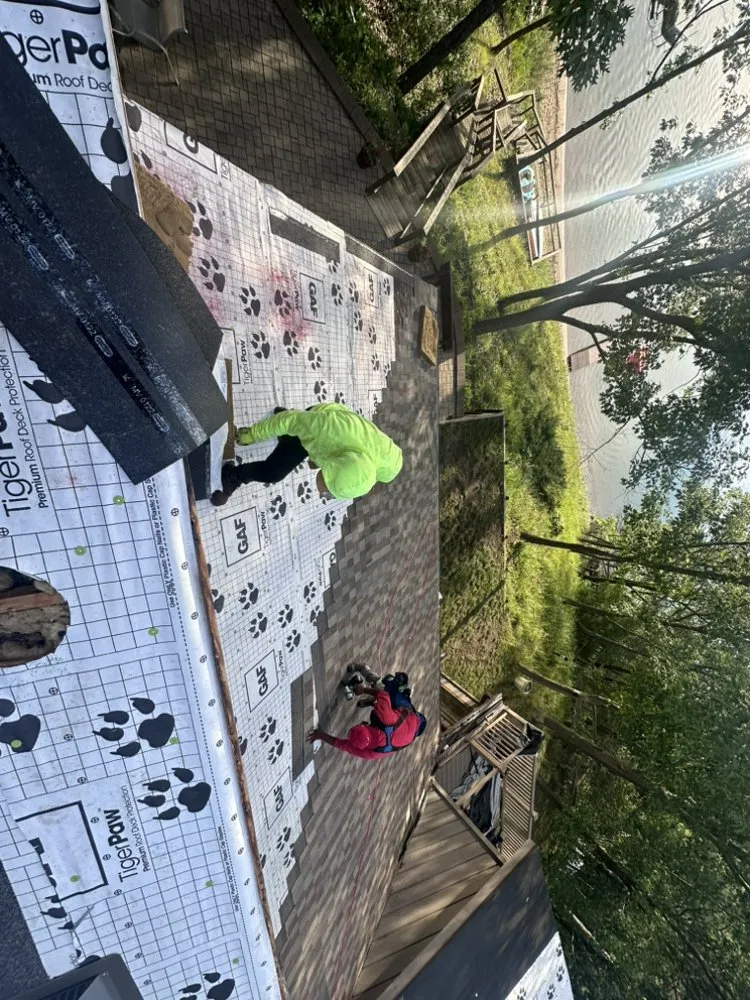 Slide of Jaguar Roof