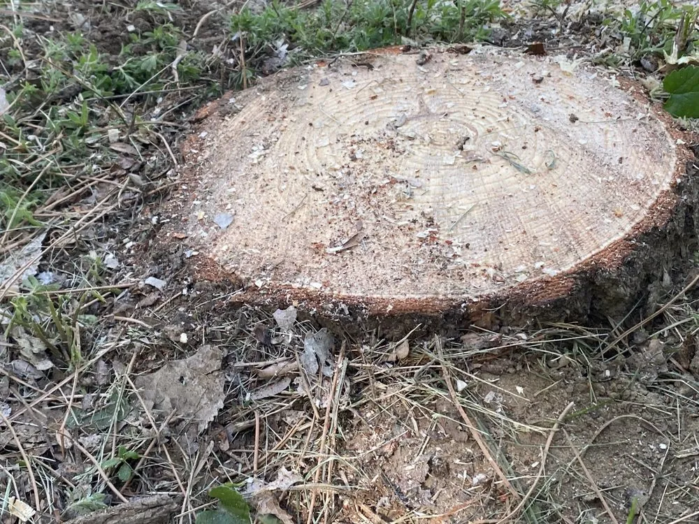 Slide of Jake’s Roofing and Tree Service