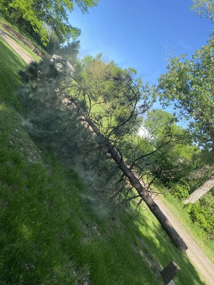 Slide of Jake’s Roofing and Tree Service