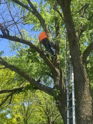 Jake’s Roofing and Tree Service Logo