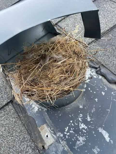 Slide of JAM Roofing