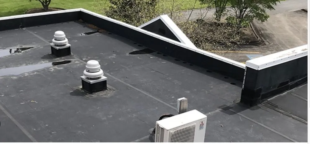 Slide of James & Whitney Co. - Chelsea