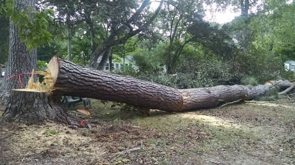 Slide of James Hall Roofing & Gutters