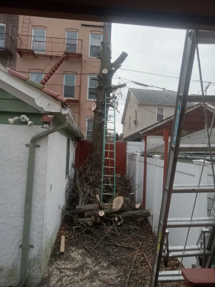 Slide of James Handyman Service