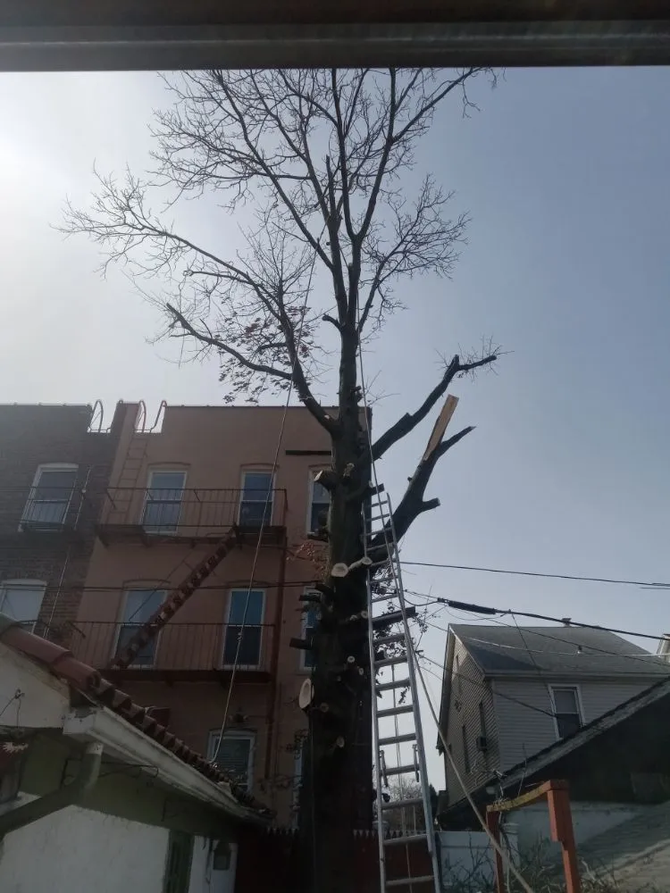 Slide of James Handyman Service