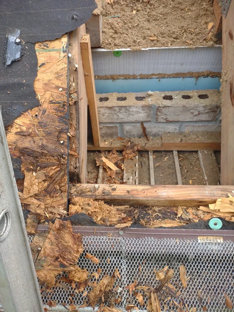 Slide of James Johnson