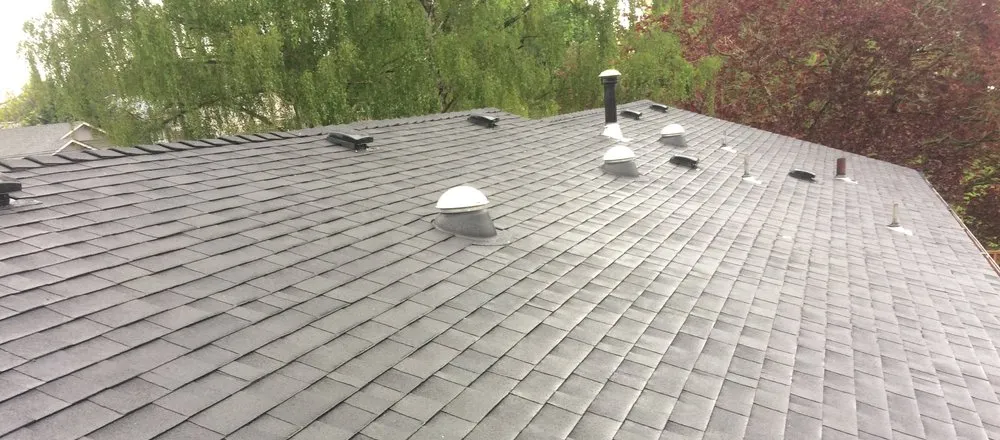 Slide of James Roofing