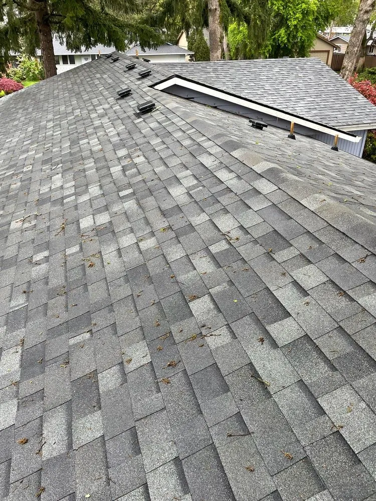 Slide of James Roofing