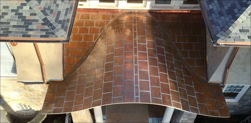 Slide of Janet Magliozzi Dba