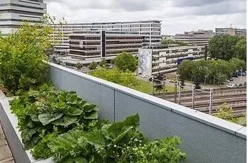 Slide of Jantzi's Roof Restorations