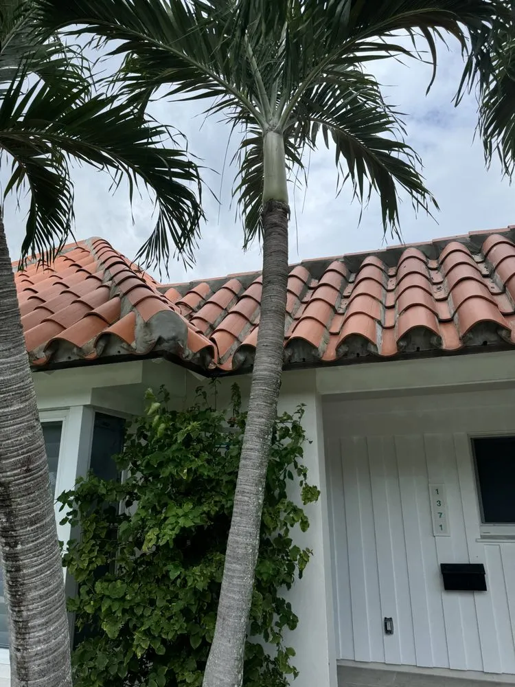 Slide of Janus Roofing