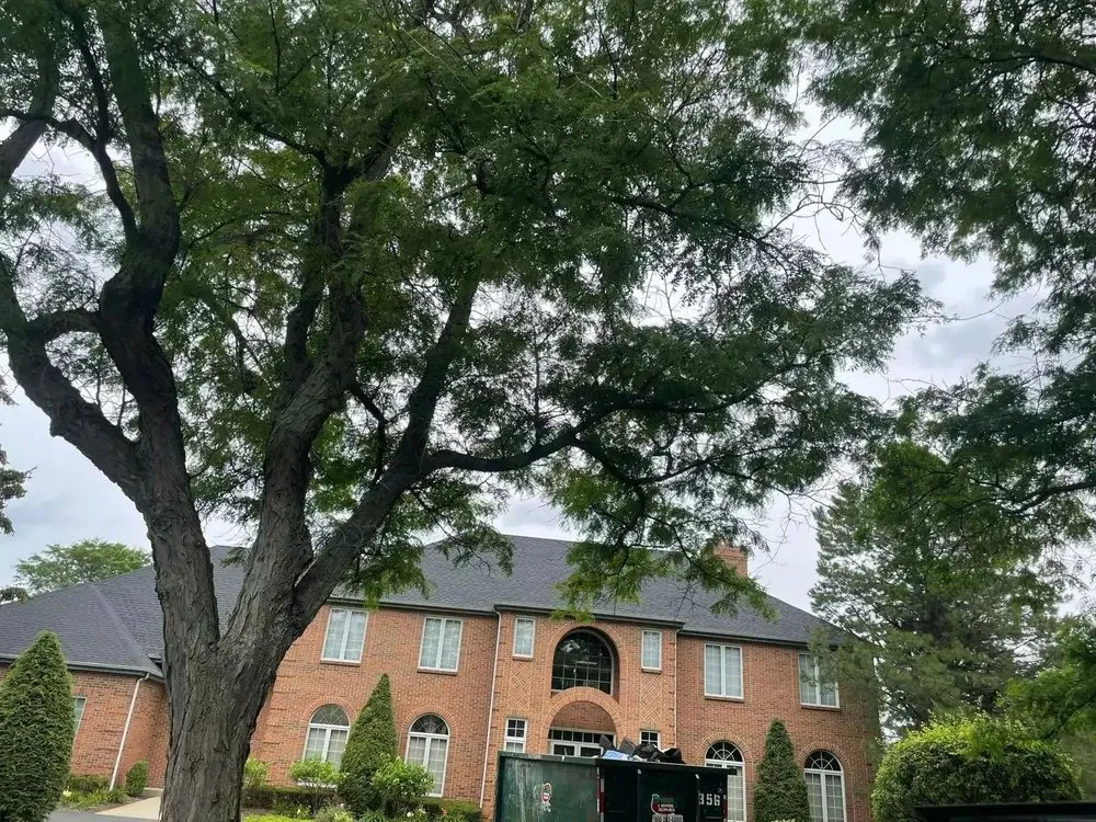 Slide of JAP Restorations