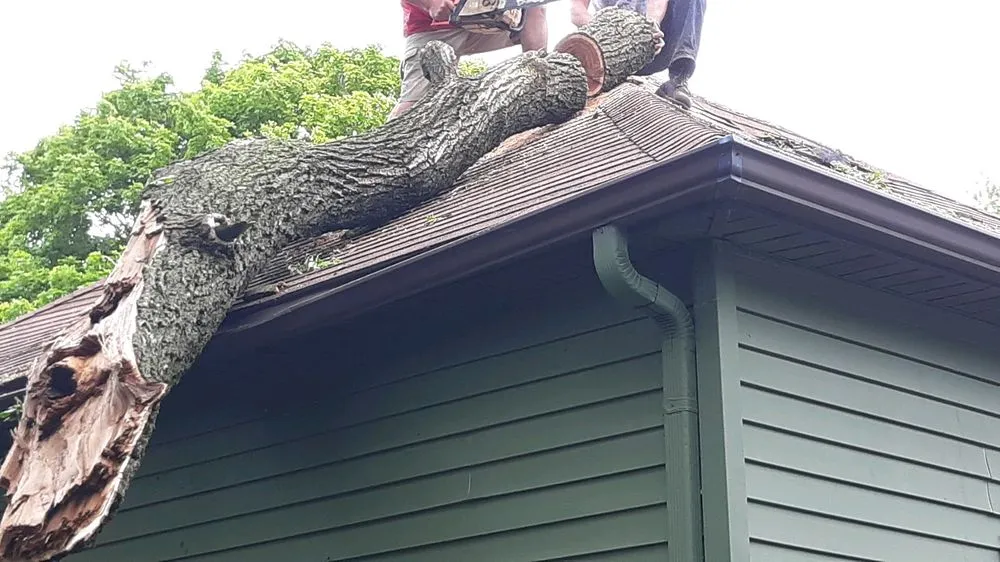 Slide of Jarhead Construction