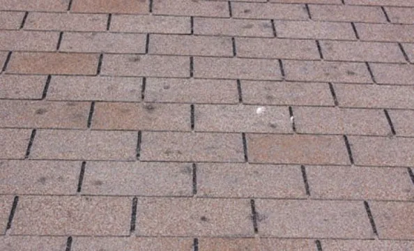 Slide of Jarvis Exteriors