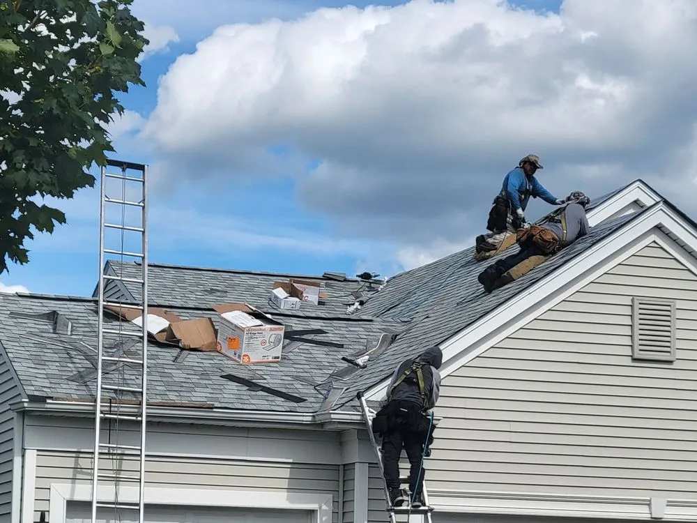 Slide of Jarvis Exteriors