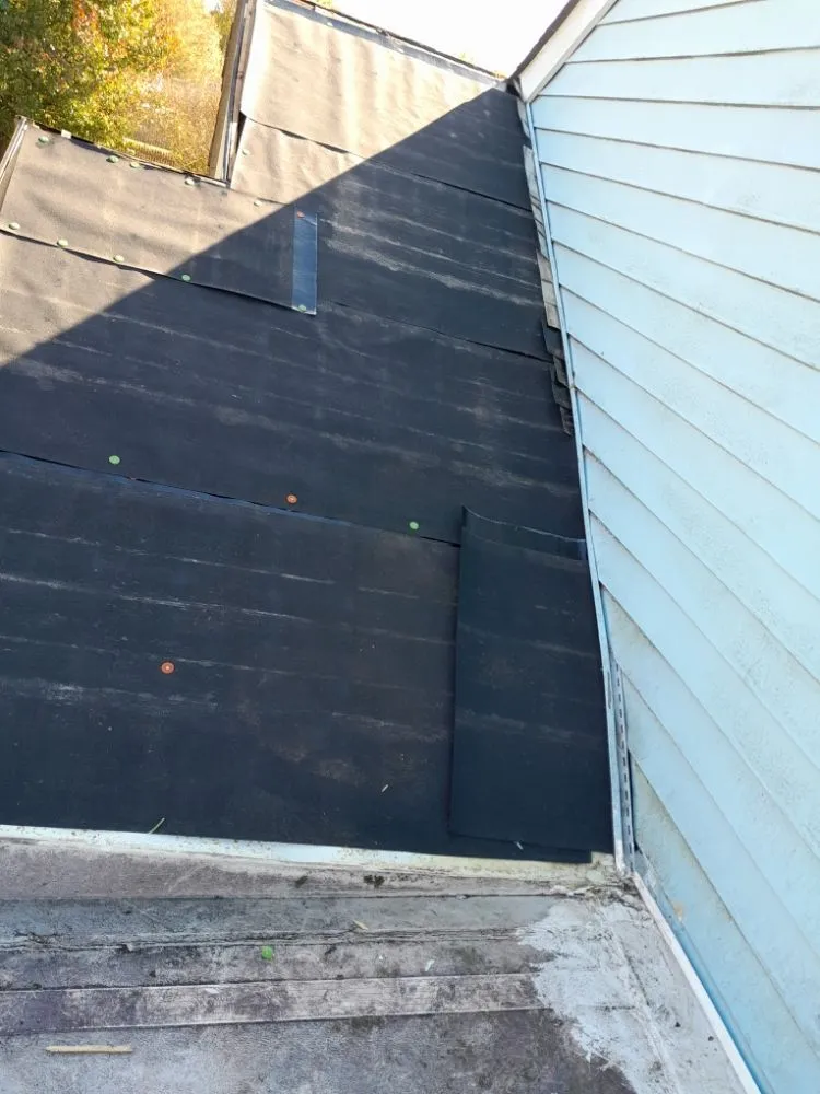 Slide of Javier's Construction