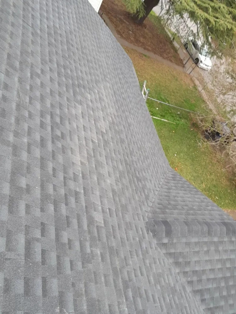 Slide of Javier's Construction