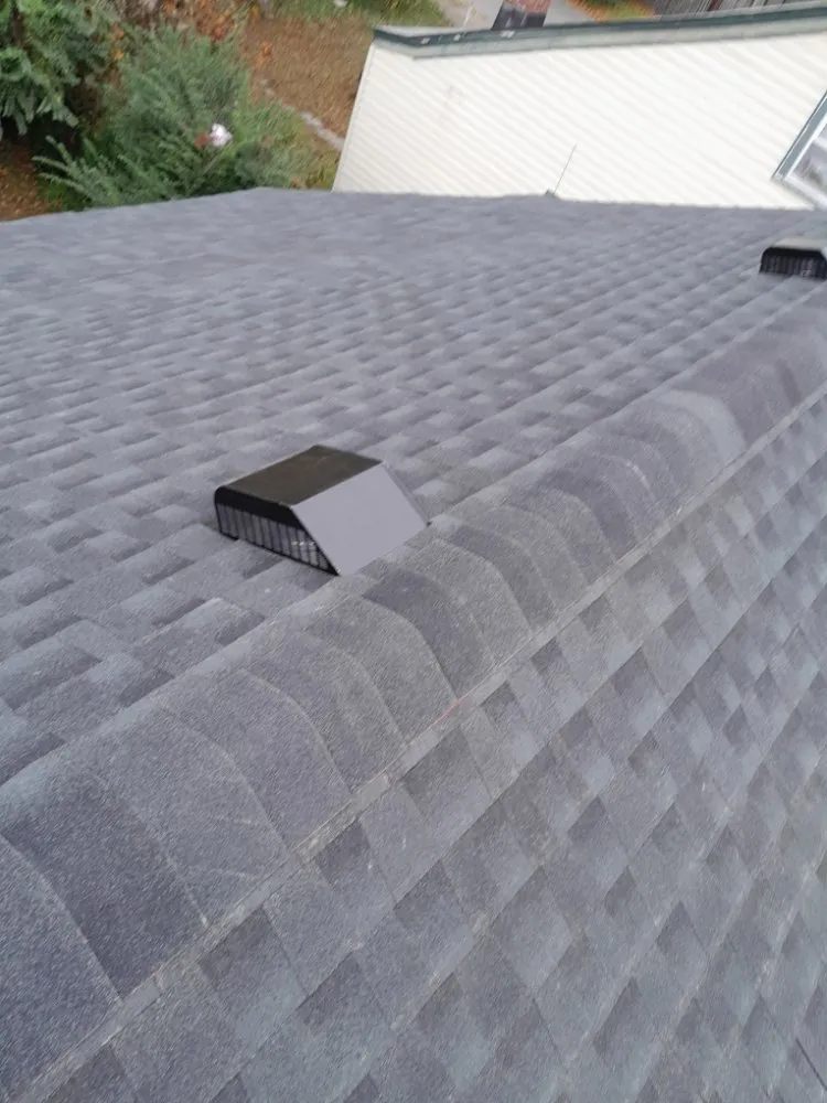 Slide of Javier's Construction