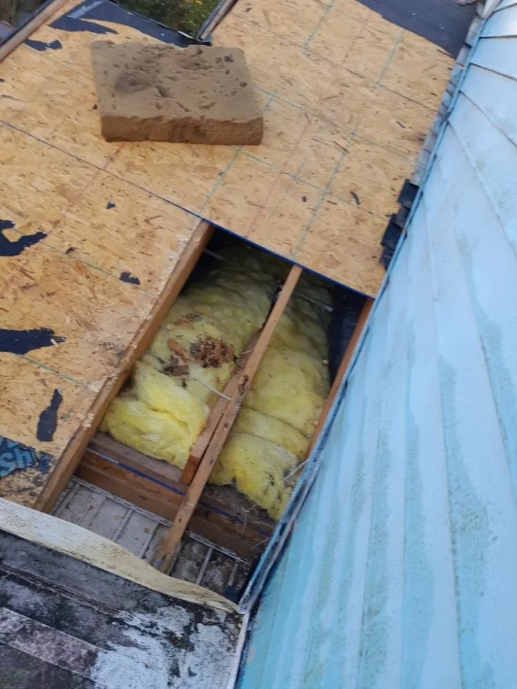 Slide of Javier's Construction