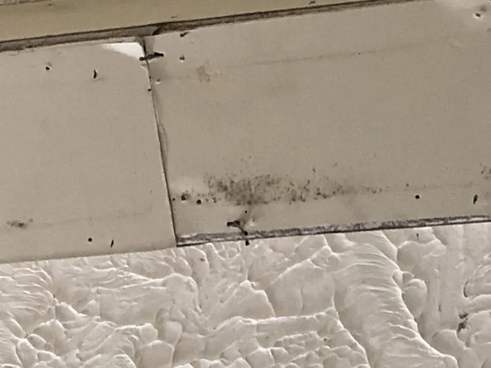 Slide of Jay & Josh Roofing Company