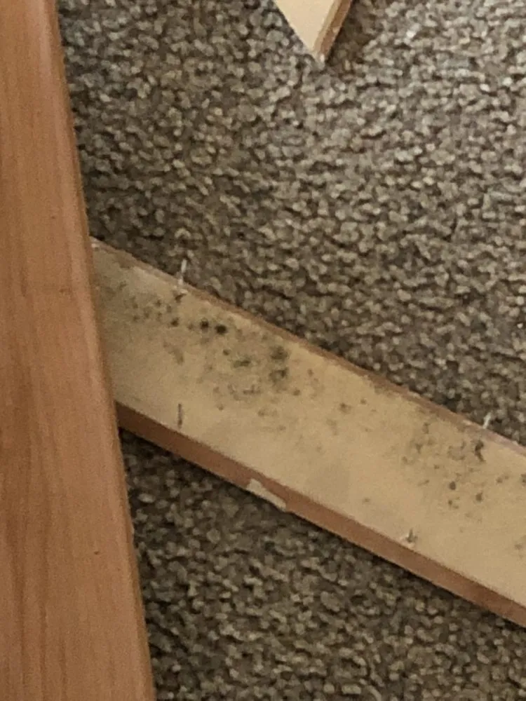 Slide of Jay & Josh Roofing Company