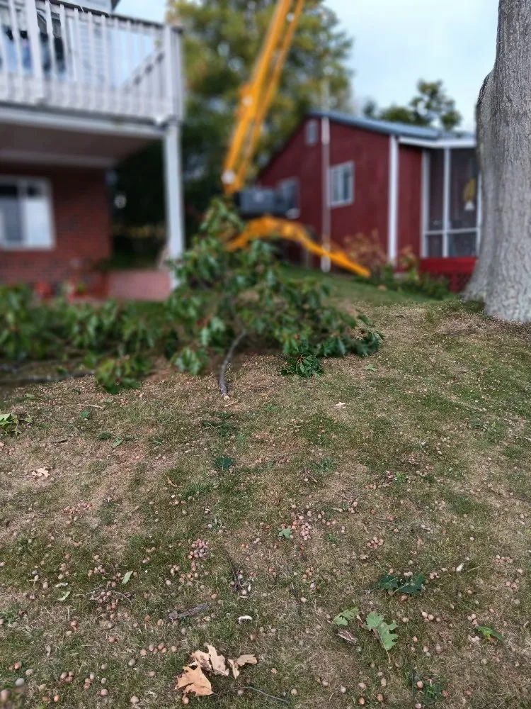 Slide of Jb & Sw Property Management