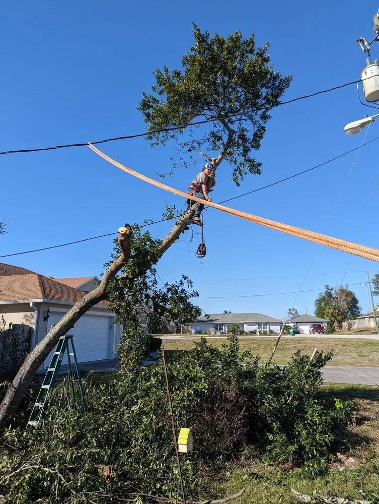 Slide of JBC Construction