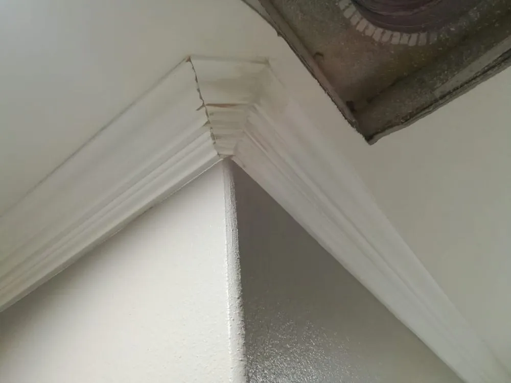 Slide of JBT Restoration & Services