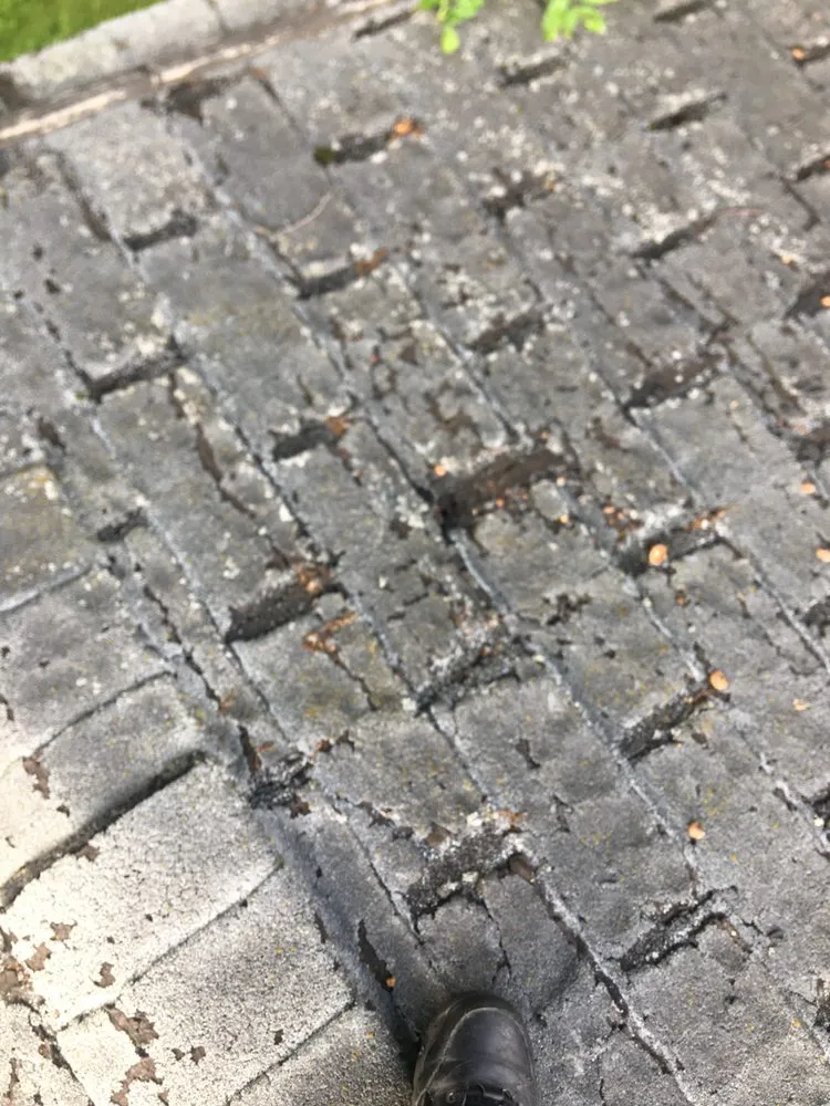 Slide of JC Carpio Group