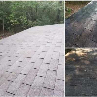 JC Property Services