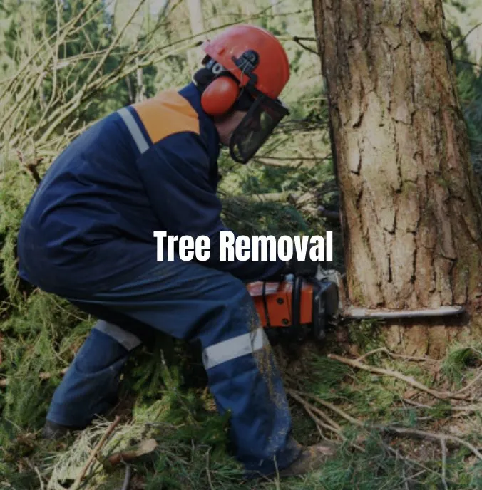 Slide of JCM Installations