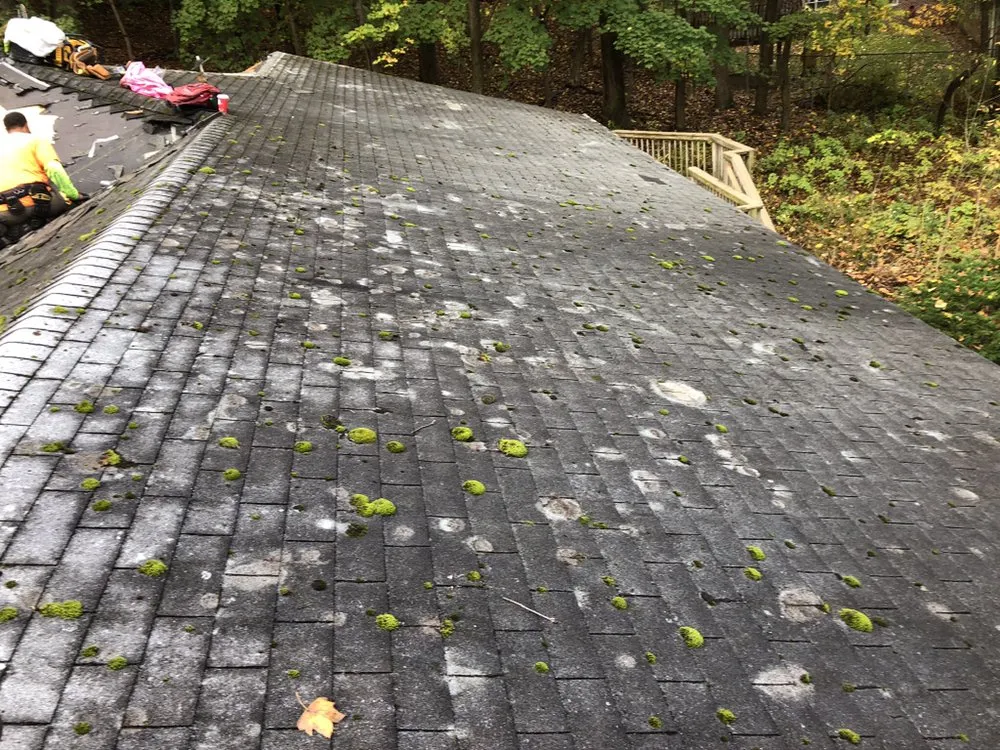Expert shingle roofing service with free inspection in Albrightsville, PA by JCozze Construction
