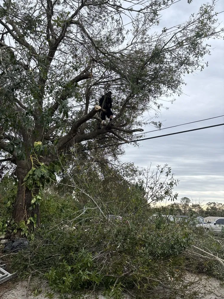 Slide of JD Masonry & More