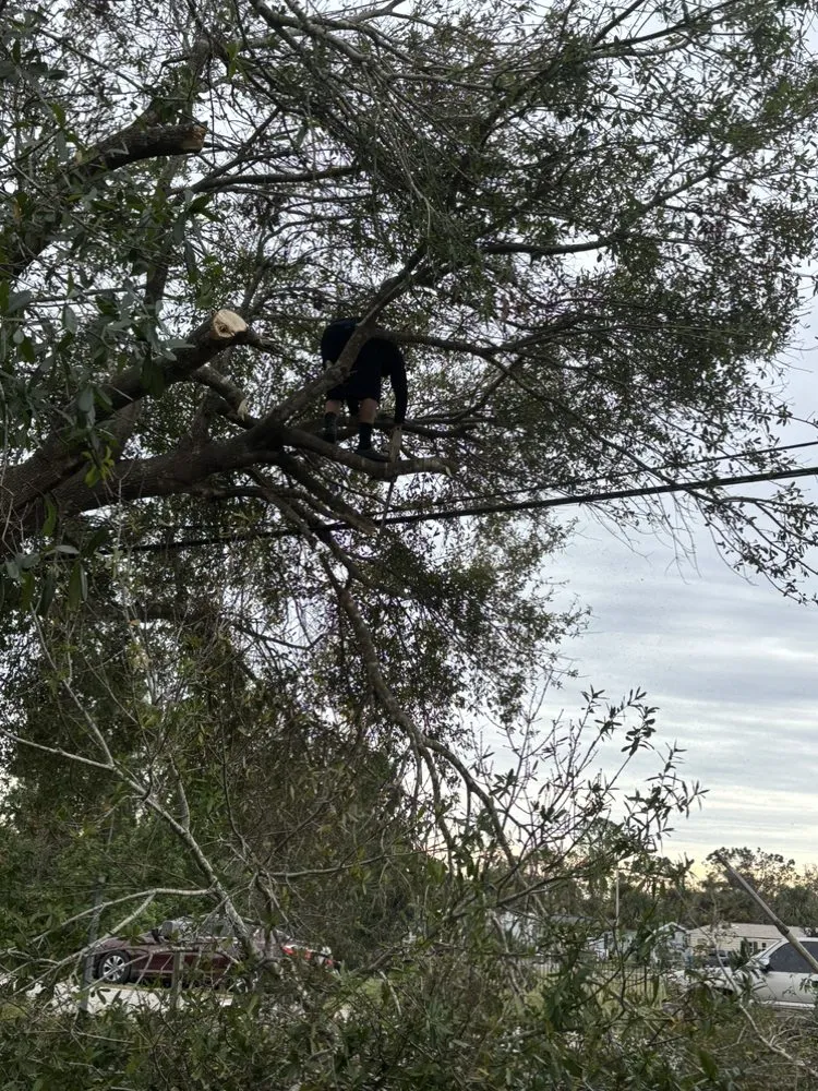 Slide of JD Masonry & More